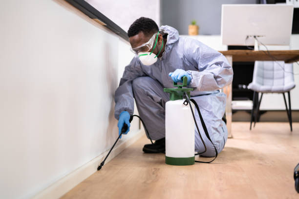 Best Pest Prevention Services  in Mayville, NY